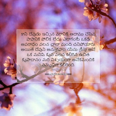 Picture 07 - రోమీయులకు 5:15 TELIRV - కాని దేవుడు - Bible Verse Picture