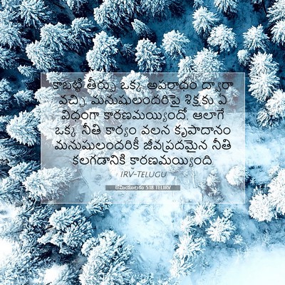 Picture 07 - రోమీయులకు 5:18 TELIRV - కాబట్టి తీర్పు - Bible Verse Picture