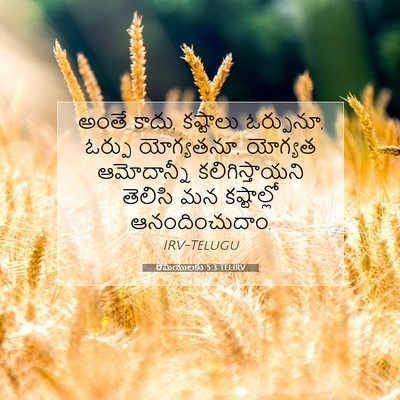 Picture 07 - రోమీయులకు 5:3 TELIRV - అంతే కాదు, కష్టాలు - Bible Verse Picture