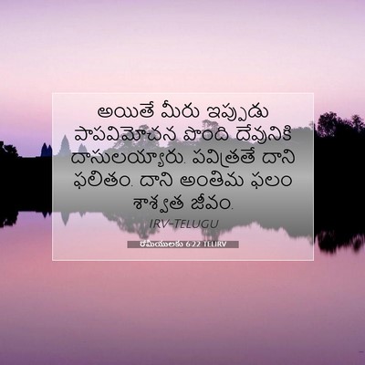 Picture 07 - రోమీయులకు 6:22 TELIRV - అయితే మీరు - Bible Verse Picture