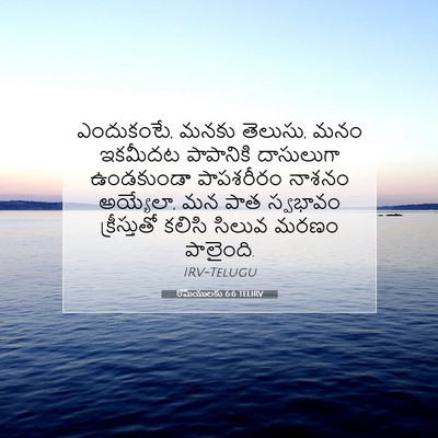 Picture 07 - రోమీయులకు 6:6 TELIRV - ఎందుకంటే, మనకు - Bible Verse Picture