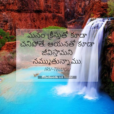 Picture 07 - రోమీయులకు 6:8 TELIRV - మనం క్రీస్తుతో - Bible Verse Picture