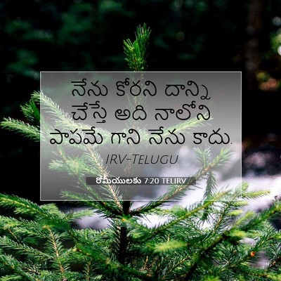 Picture 07 - రోమీయులకు 7:20 TELIRV - నేను కోరని దాన్ని - Bible Verse Picture