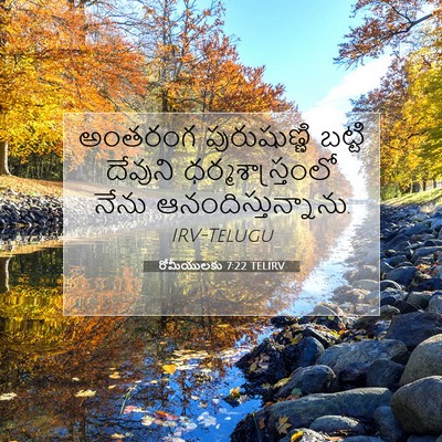 Picture 07 - రోమీయులకు 7:22 TELIRV - అంతరంగ పురుషుణ్ణి - Bible Verse Picture