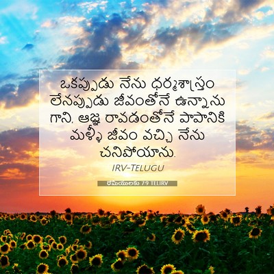 Picture 07 - రోమీయులకు 7:9 TELIRV - ఒకప్పుడు నేను - Bible Verse Picture
