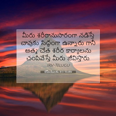 Picture 07 - రోమీయులకు 8:13 TELIRV - మీరు - Bible Verse Picture