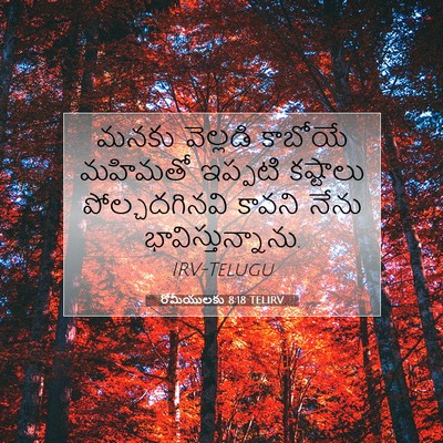 Picture 07 - రోమీయులకు 8:18 TELIRV - మనకు వెల్లడి - Bible Verse Picture