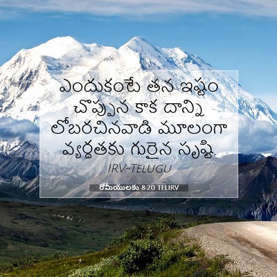 Picture 07 - రోమీయులకు 8:20 TELIRV - ఎందుకంటే తన ఇష్టం - Bible Verse Picture