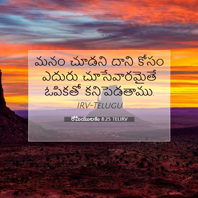 Picture 07 - రోమీయులకు 8:25 TELIRV - మనం చూడని దాని - Bible Verse Picture
