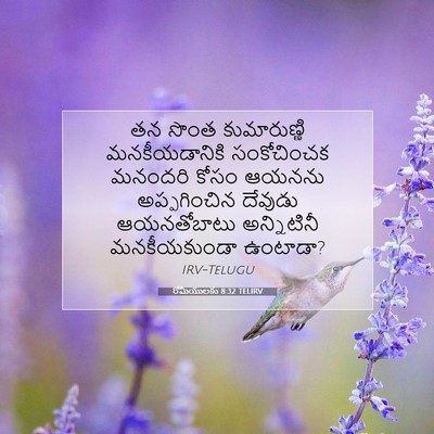 Picture 07 - రోమీయులకు 8:32 TELIRV - తన సొంత - Bible Verse Picture