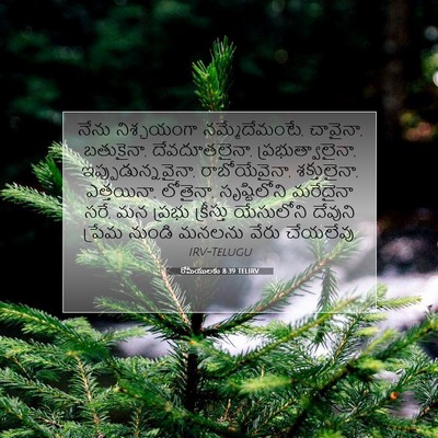 Picture 07 - రోమీయులకు 8:39 TELIRV - నేను నిశ్చయంగా - Bible Verse Picture