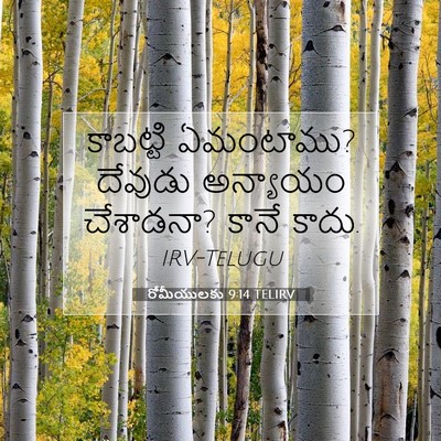 Picture 07 - రోమీయులకు 9:14 TELIRV - కాబట్టి ఏమంటాము? - Bible Verse Picture