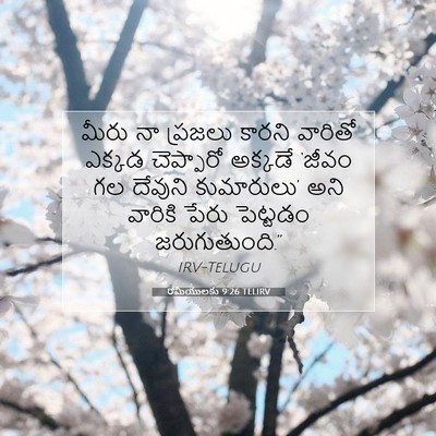 Picture 07 - రోమీయులకు 9:26 TELIRV - మీరు నా ప్రజలు - Bible Verse Picture