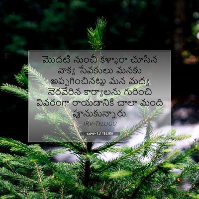 Picture 07 - లూకా 1:2 TELIRV - మొదటి నుంచీ - Bible Verse Picture