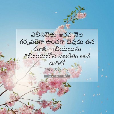 Picture 07 - లూకా 1:26 TELIRV - ఎలీసబెతు ఆరవ నెల - Bible Verse Picture