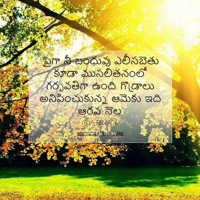 Picture 07 - లూకా 1:36 TELIRV - పైగా నీ బంధువు - Bible Verse Picture