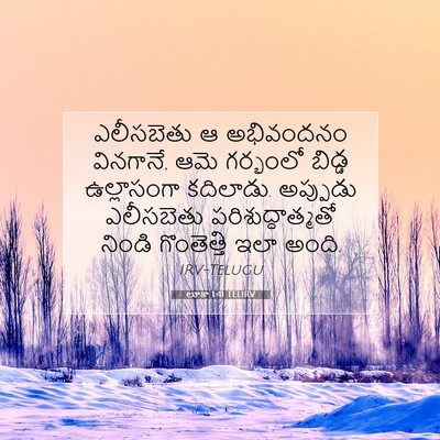 Picture 07 - లూకా 1:41 TELIRV - ఎలీసబెతు ఆ - Bible Verse Picture