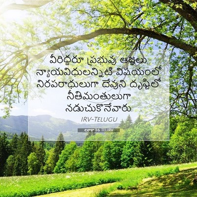 Picture 07 - లూకా 1:6 TELIRV - వీరిద్దరూ ప్రభువు - Bible Verse Picture