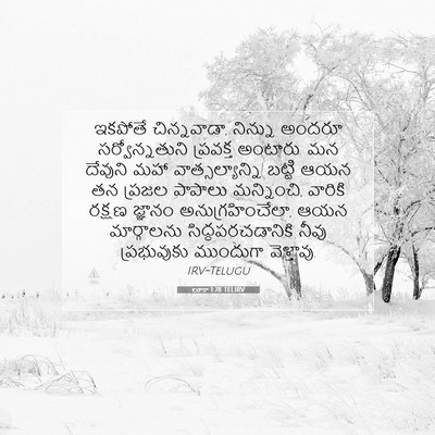 Picture 07 - లూకా 1:78 TELIRV - ఇకపోతే చిన్నవాడా, - Bible Verse Picture