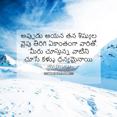 Picture 07 - లూకా 10:23 TELIRV - అప్పుడు ఆయన తన - Bible Verse Picture