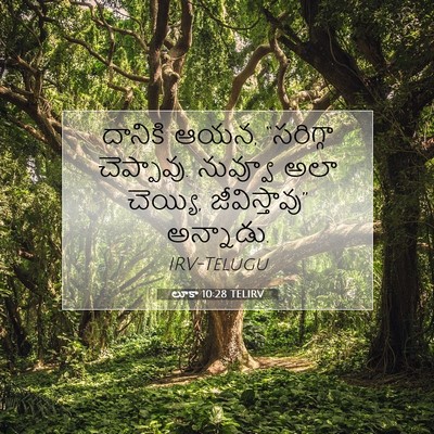Picture 07 - లూకా 10:28 TELIRV - దానికి ఆయన, - Bible Verse Picture