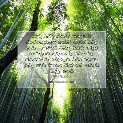 Picture 07 - లూకా 10:40 TELIRV - మార్త ఎన్నో పనులు - Bible Verse Picture