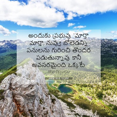 Picture 07 - లూకా 10:41 TELIRV - అందుకు ప్రభువు, - Bible Verse Picture