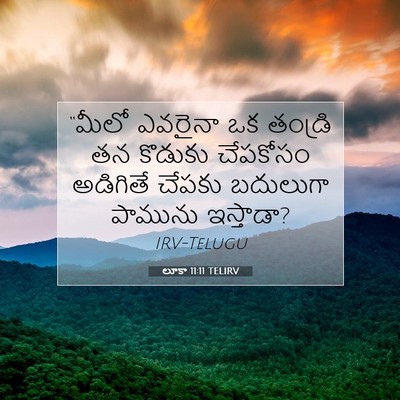 Picture 07 - లూకా 11:11 TELIRV - “మీలో ఎవరైనా ఒక - Bible Verse Picture