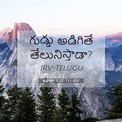 Picture 07 - లూకా 11:12 TELIRV - గుడ్డు అడిగితే - Bible Verse Picture