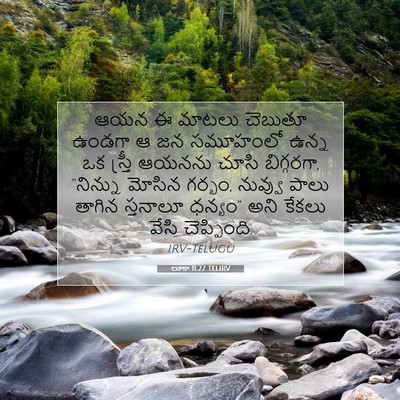 Picture 07 - లూకా 11:27 TELIRV - ఆయన ఈ మాటలు చెబుతూ - Bible Verse Picture