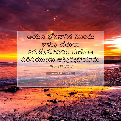 Picture 07 - లూకా 11:38 TELIRV - ఆయన భోజనానికి - Bible Verse Picture