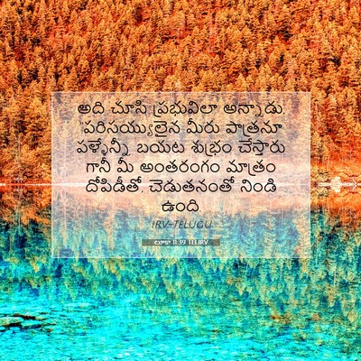Picture 07 - లూకా 11:39 TELIRV - అది చూసి - Bible Verse Picture