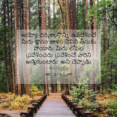 Picture 07 - లూకా 11:52 TELIRV - అయ్యో, - Bible Verse Picture
