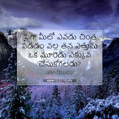 Picture 07 - లూకా 12:25 TELIRV - పైగా మీలో ఎవడు - Bible Verse Picture