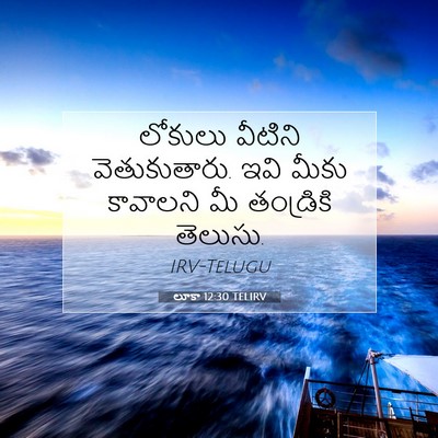Picture 07 - లూకా 12:30 TELIRV - లోకులు వీటిని - Bible Verse Picture