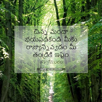 Picture 07 - లూకా 12:32 TELIRV - చిన్న మందా, - Bible Verse Picture