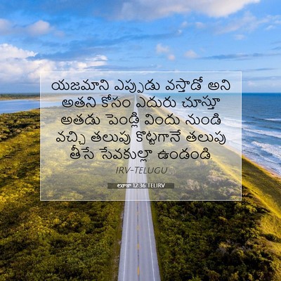 Picture 07 - లూకా 12:36 TELIRV - యజమాని ఎప్పుడు - Bible Verse Picture