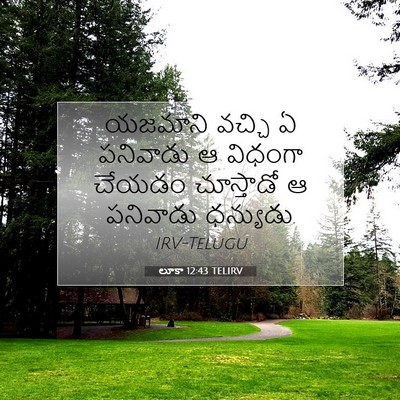 Picture 07 - లూకా 12:43 TELIRV - యజమాని వచ్చి ఏ - Bible Verse Picture
