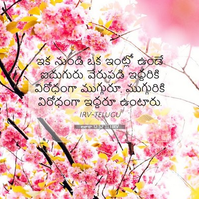 Picture 07 - లూకా 12:52 TELIRV - ఇక నుండి ఒక ఇంట్లో - Bible Verse Picture