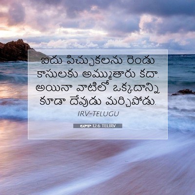 Picture 07 - లూకా 12:6 TELIRV - ఐదు పిచ్చుకలను - Bible Verse Picture