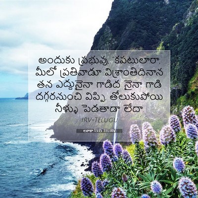 Picture 07 - లూకా 13:15 TELIRV - అందుకు ప్రభువు, - Bible Verse Picture
