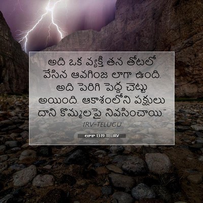 Picture 07 - లూకా 13:19 TELIRV - అది ఒక వ్యక్తి తన - Bible Verse Picture