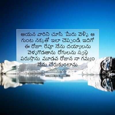 Picture 07 - లూకా 13:32 TELIRV - ఆయన వారిని చూసి, - Bible Verse Picture