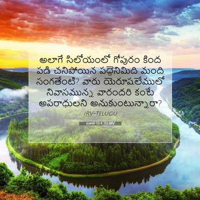Picture 07 - లూకా 13:4 TELIRV - అలాగే సిలోయంలో - Bible Verse Picture