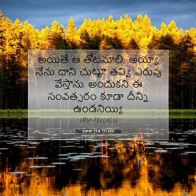 Picture 07 - లూకా 13:8 TELIRV - అయితే ఆ తోటమాలి, - Bible Verse Picture