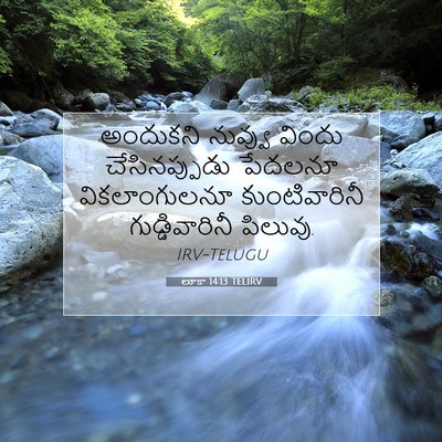 Picture 07 - లూకా 14:13 TELIRV - అందుకని నువ్వు - Bible Verse Picture