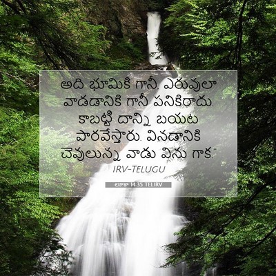 Picture 07 - లూకా 14:35 TELIRV - అది భూమికి గానీ, - Bible Verse Picture