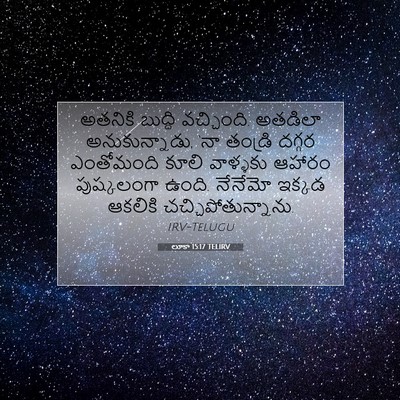 Picture 07 - లూకా 15:17 TELIRV - అతనికి బుద్ధి - Bible Verse Picture