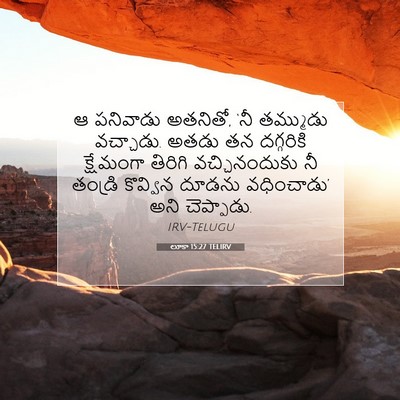 Picture 07 - లూకా 15:27 TELIRV - ఆ పనివాడు అతనితో, - Bible Verse Picture
