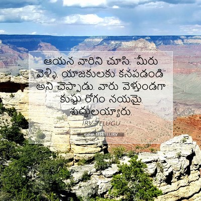Picture 07 - లూకా 17:14 TELIRV - ఆయన వారిని చూసి, - Bible Verse Picture